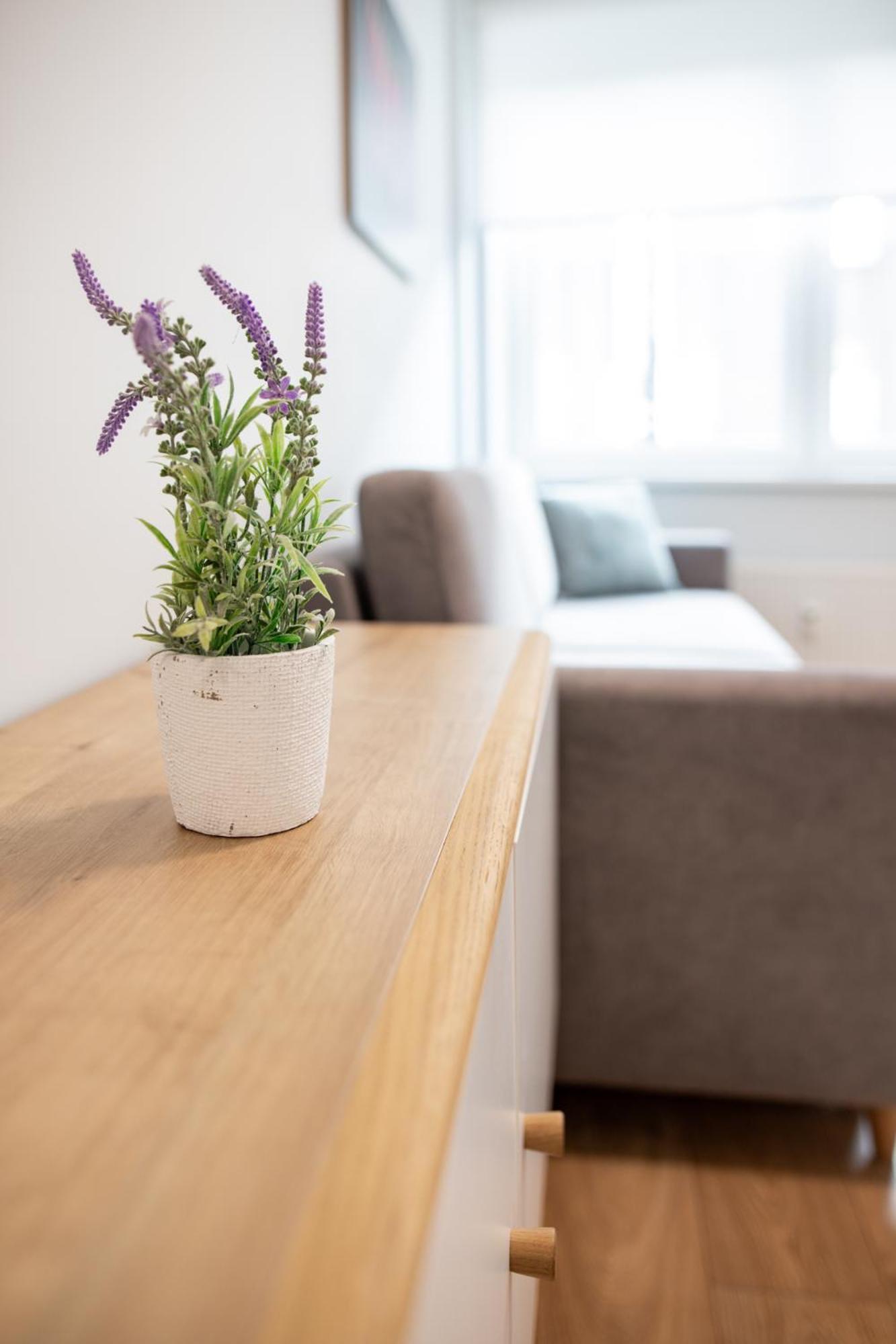 Pepleri Studio 39 Tartu Bagian luar foto